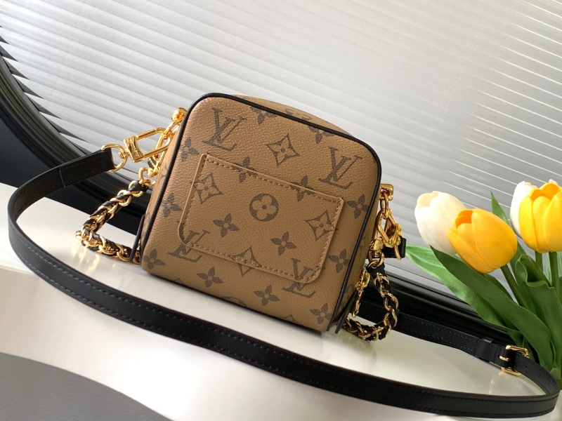 LV Satchel bags